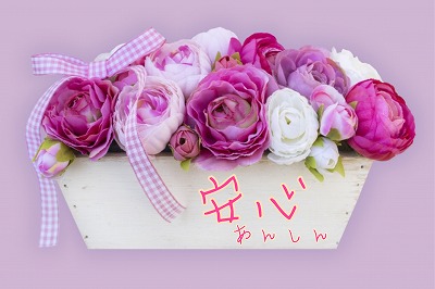 butterfly、サポートに安心