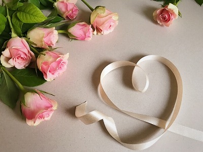 FX自動売買Butterfly メッセージ 安心