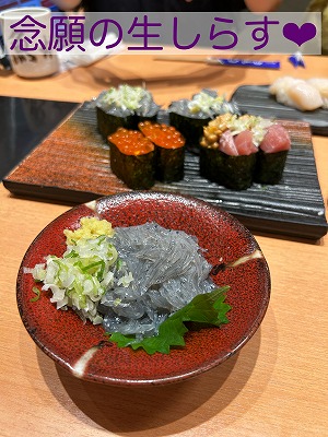 生しらす　自動売買プラス収支