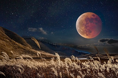 満月 月の満ち欠け法則と自動売買Butterflyの法則