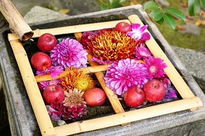 リスクコントロールの美学