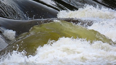 激流 お金の流れ 自動売買Butterflyで