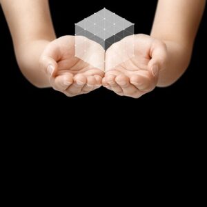 投資から受け取る美と健康