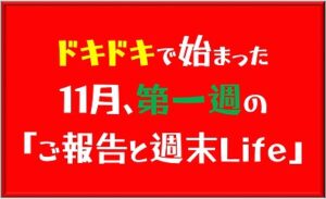 11月始まった