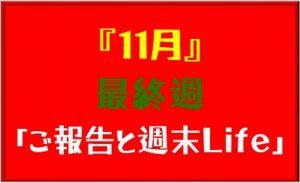 11月最終週の自動売買Butterflyの結果