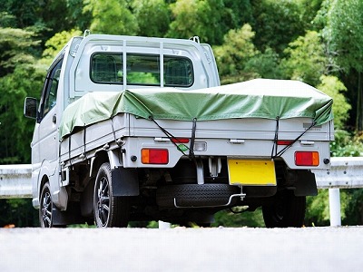 地方在住者の足