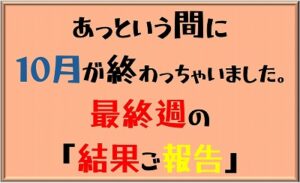 Butterfly　週刊報告