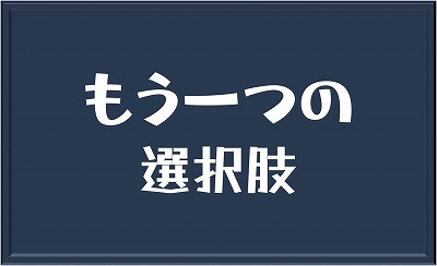 もう一つの選択肢
